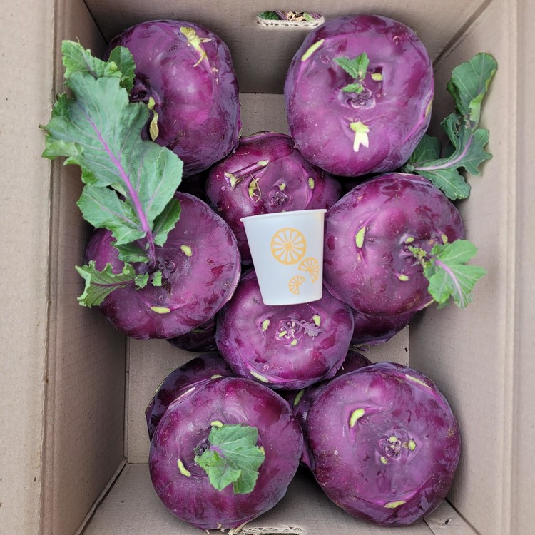 반포농원 제주 알 줄기 양배추는 칼로리가 낮고 식이섬유가 풍부하여 3