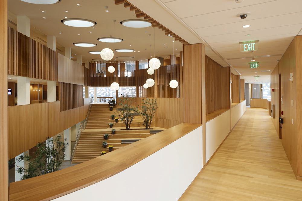 Boston - Stilnovo Oak Select