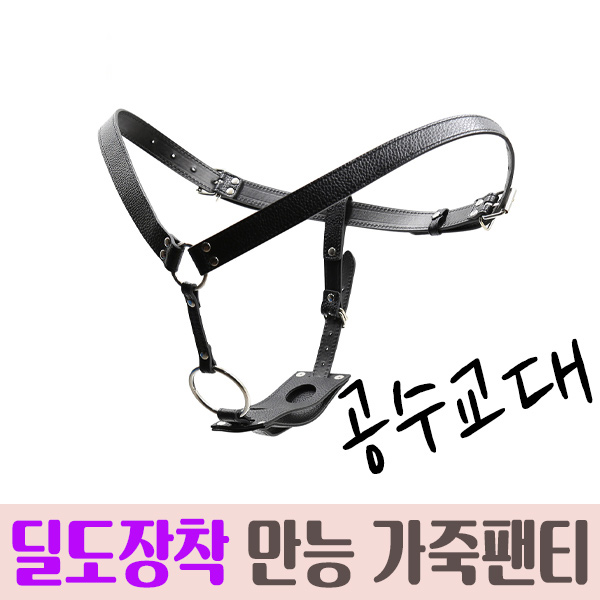 딜도팬티 딜도팬티