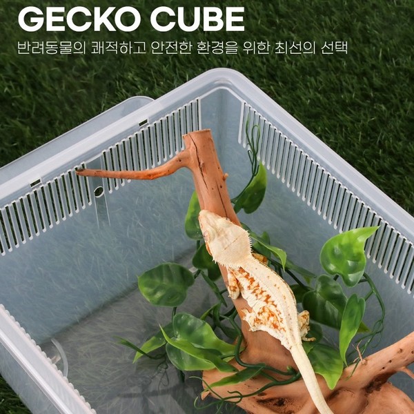 [경기 김포] 게코월드