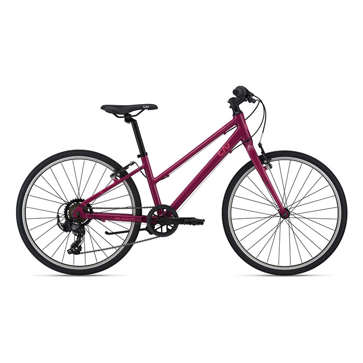 liv 24 inch bike