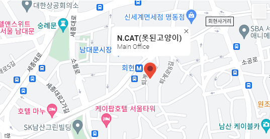 n.cat, main office,ncat brand, korea,korean,n.cat, main, office
