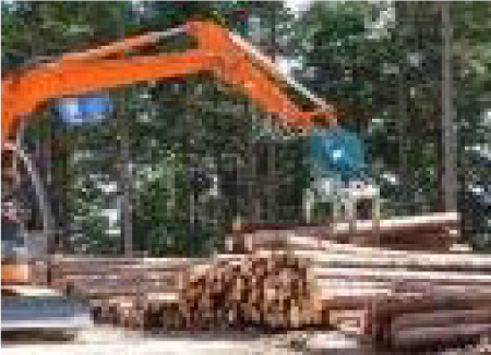Log grapple, heavy equipment, excavator attachment, hydraulic attachment