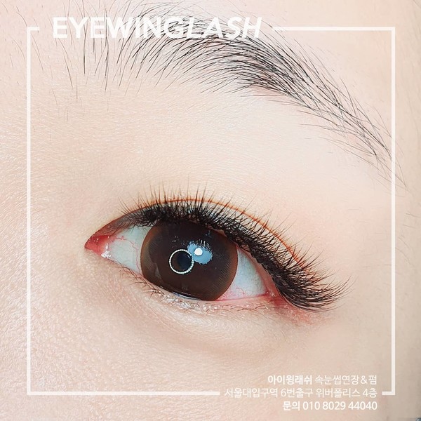 [서울 관악] 아이윙래쉬