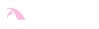 BridgeX