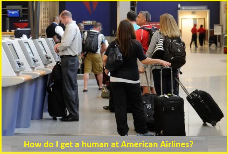 How can I speak to a real live person on American Airlines? : 강릉 양우내안에