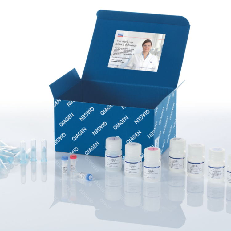 QIAprep Spin Miniprep Kit (50) : Saintone(주)