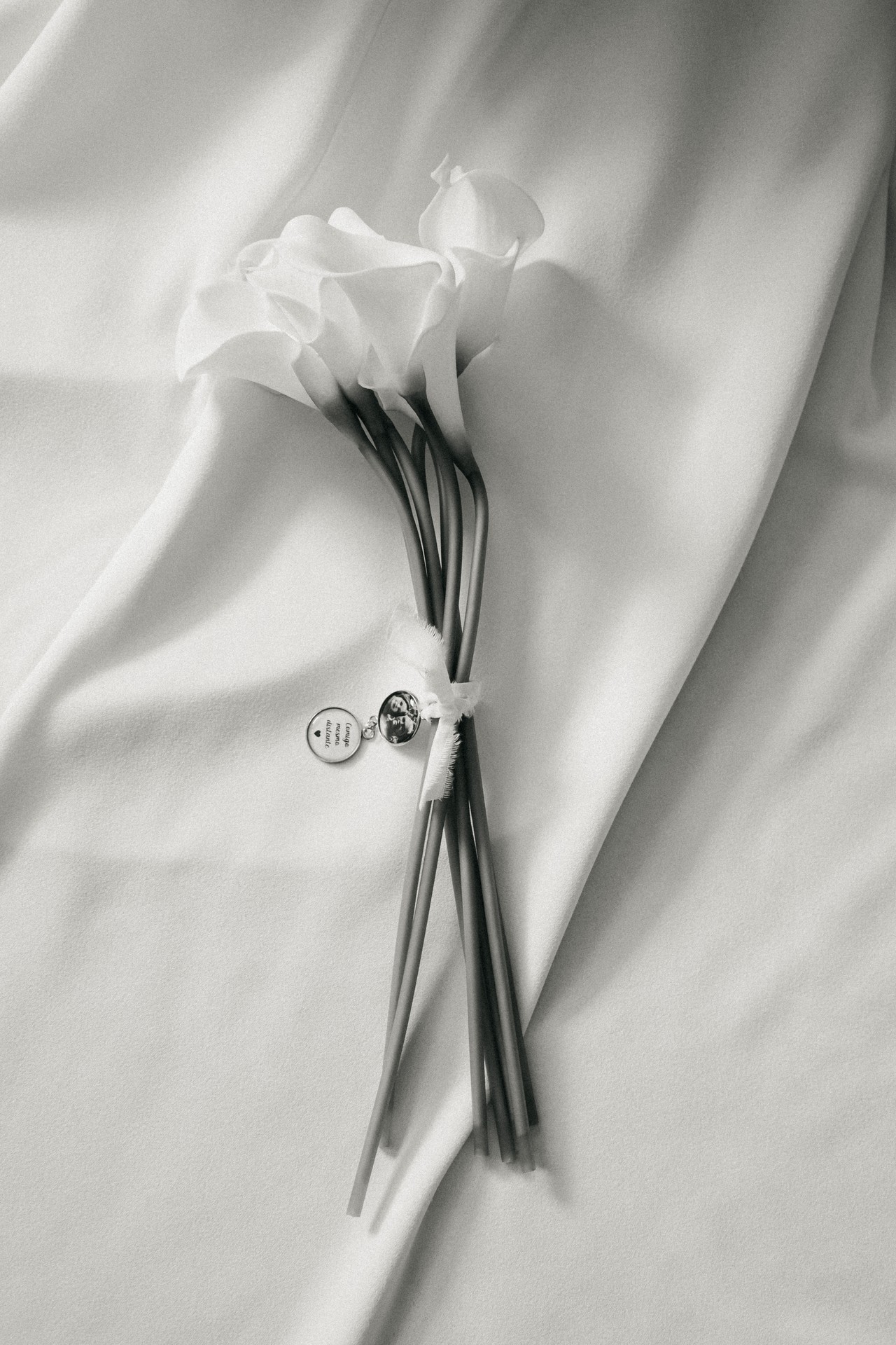 <h1 style="margin-bottom:50px;"> BELLAVITA</H1>