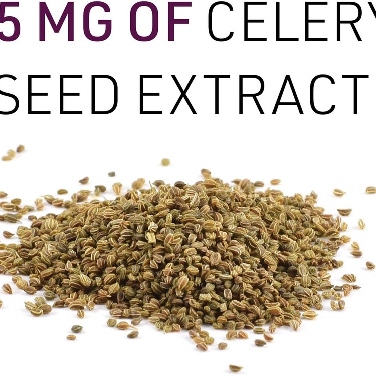 네츄럴팩터스 셀러리 씨앗 추출물 85 3nB 120캡슐 / Natural Factors Celery Seed Extract