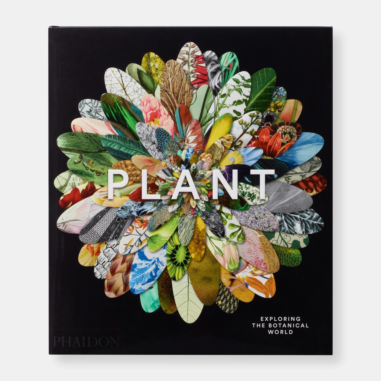 [ Phaidon ] Plant : Exploring the Botanical World : 블룹 프리미엄 키즈 라이프스타일