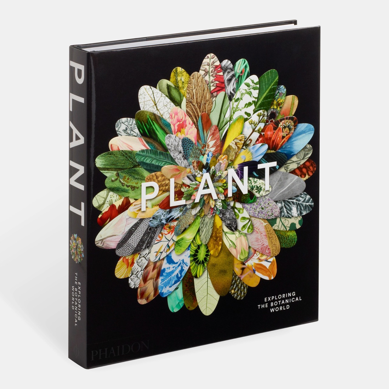 [ Phaidon ] Plant : Exploring the Botanical World : 블룹 프리미엄 키즈 라이프스타일