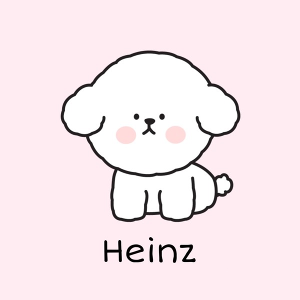 [인천 미추홀] 하인츠애견미용실