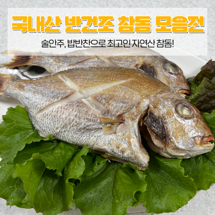 반건조 자연산 참돔 모음전 : 신선팔팔농수산