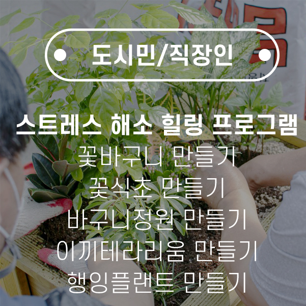 도시민 직장인 프로그램