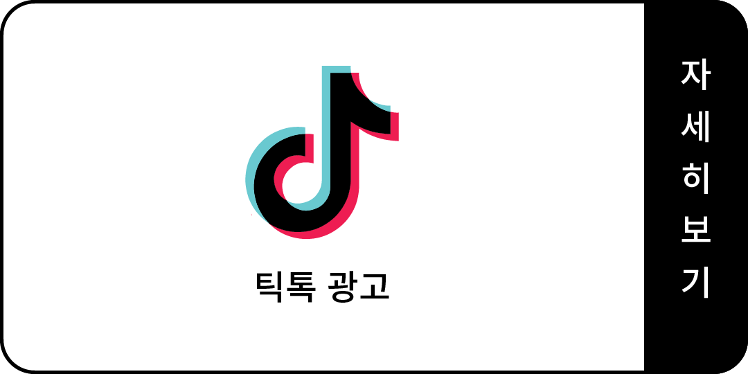 틱톡 광고