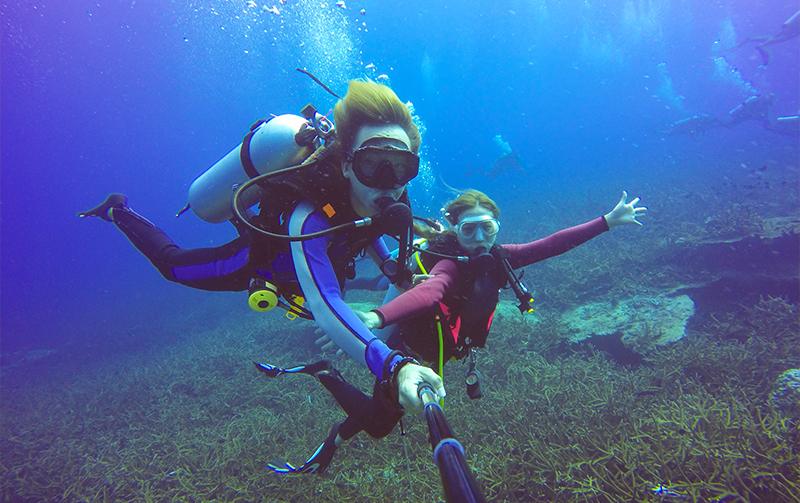 Diving in Cebu Point!<br>호핑투어+펀다이빙