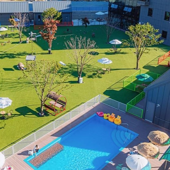 [경기 양평] 별빛애견펜션 체험단