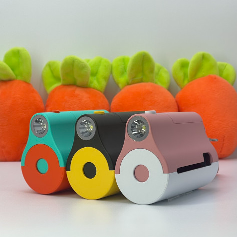 [택배/배송] 시티독 (CITYDOG)