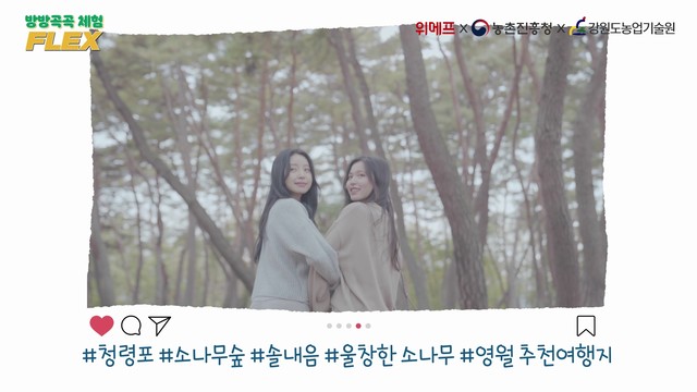 농촌진흥청 방방곡곡 체험 FLEX_영월 편