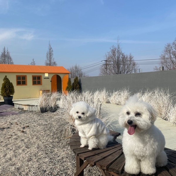 [충북 청주] 빈스가든