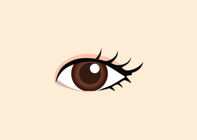 <br><p style="font-size: 20px;">개개인의 몽고주름의 정도를 측정</p>