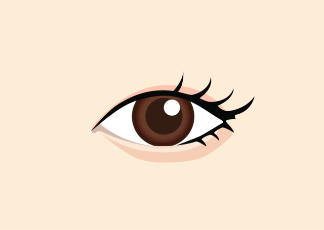 <br><p style="font-size: 20px;">수술후</p>