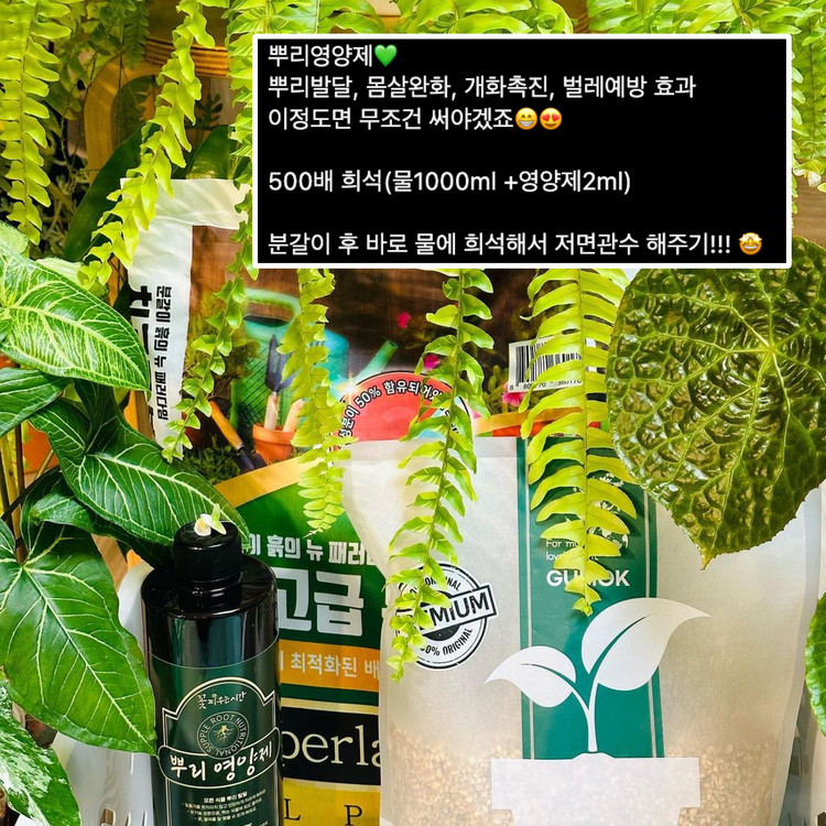 꽃피우는시간 식물 뿌리영양제 500Ml : 꽃피우는시간 | 국내생산 국산재료 식물영양제 브랜드