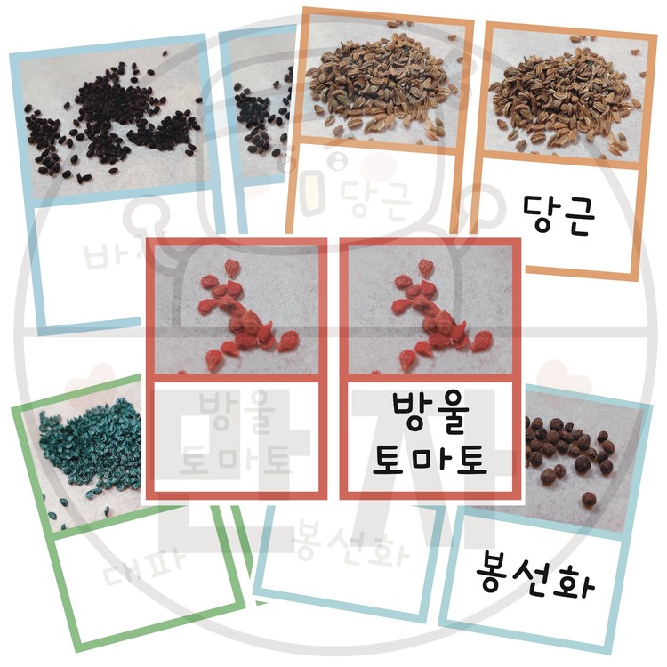 [단어카드] 씨앗1 : 만자디자인