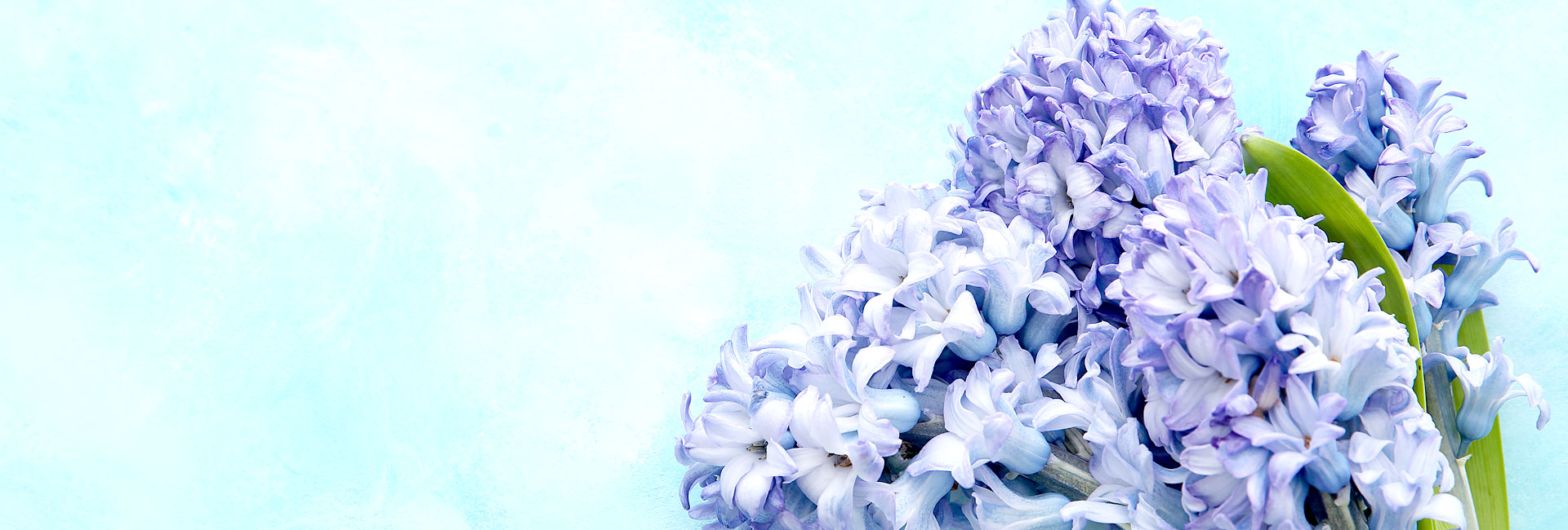 mobile background