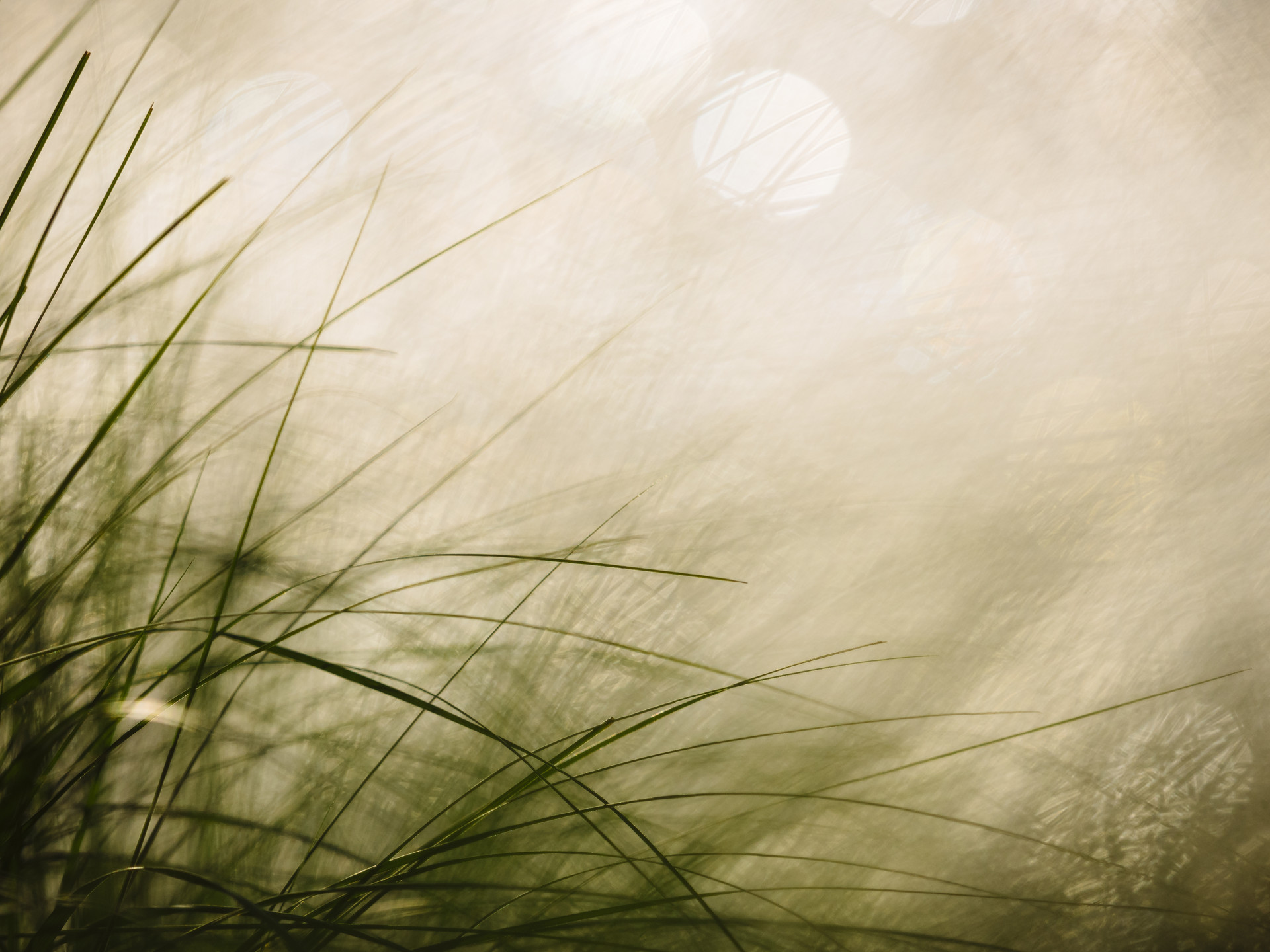 mobile background