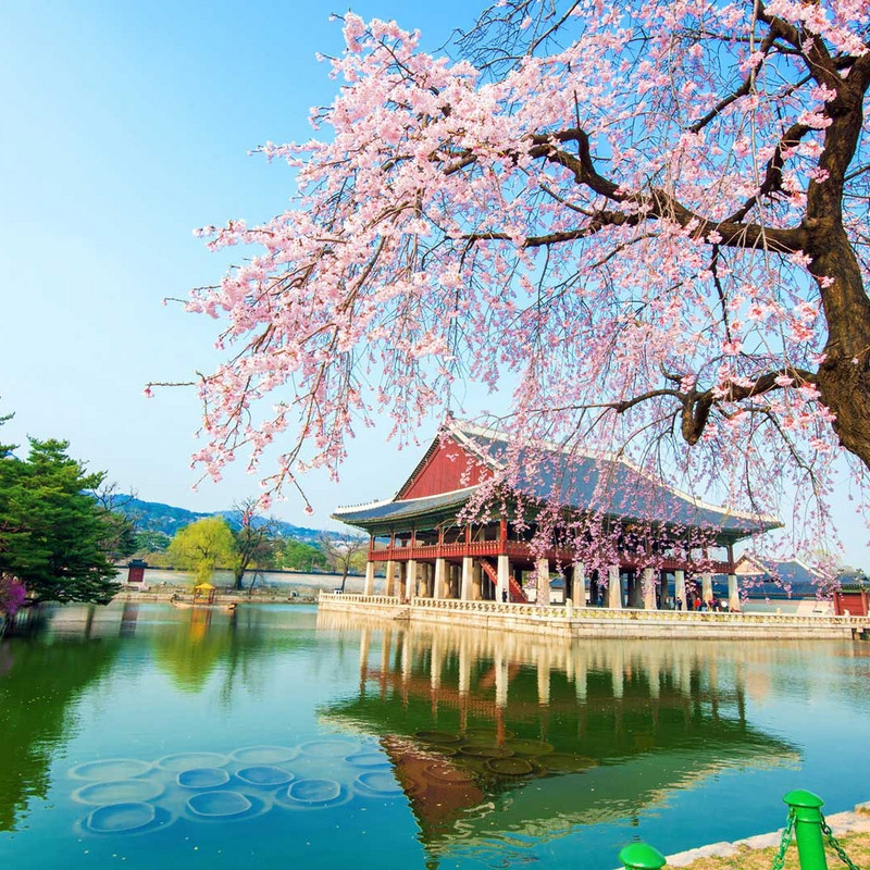 Visit South Korea for 7 Days
