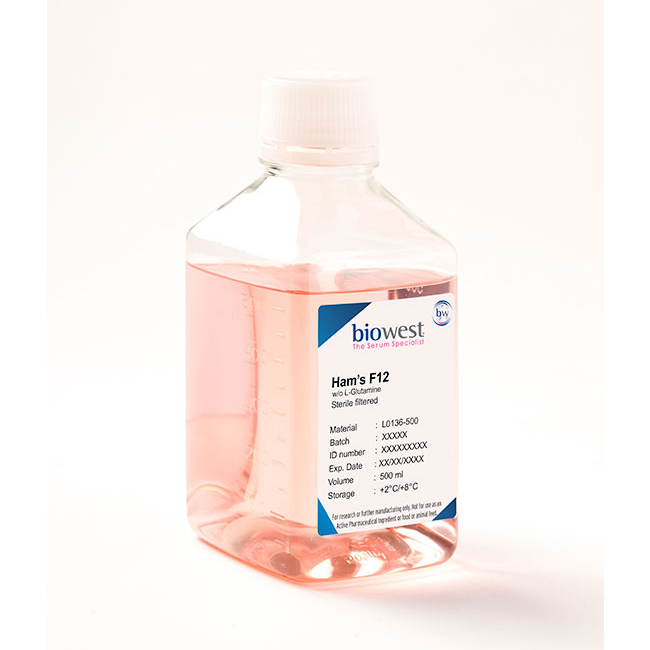 HAM'S F12 W/O L-GLUTAMINE : Saintone(주)