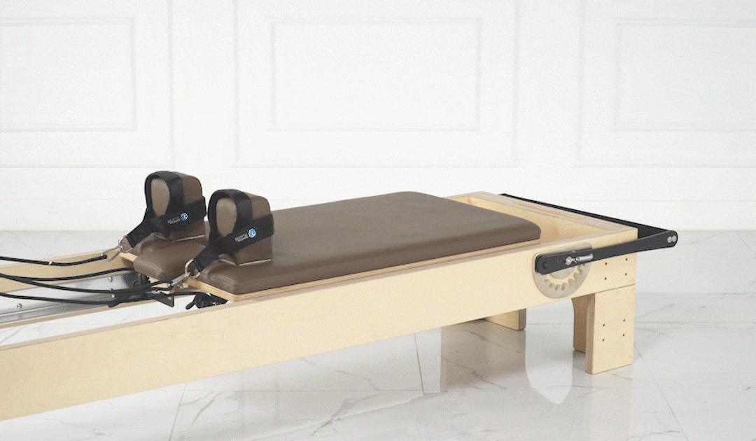 Eco Reformer