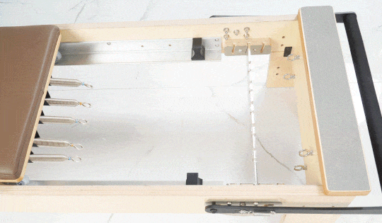 Eco Reformer