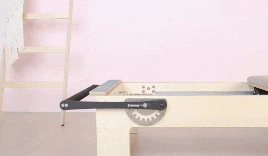 Home Reformer