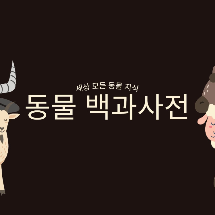 유튜버 동물백과사전 : marketinggpt 유튜버 동물백과사전 : Marketinggpt