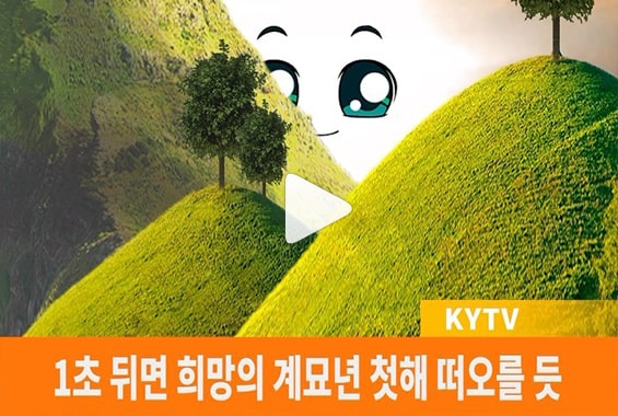 쿵야 브랜디드 콜라보 툰, 영상