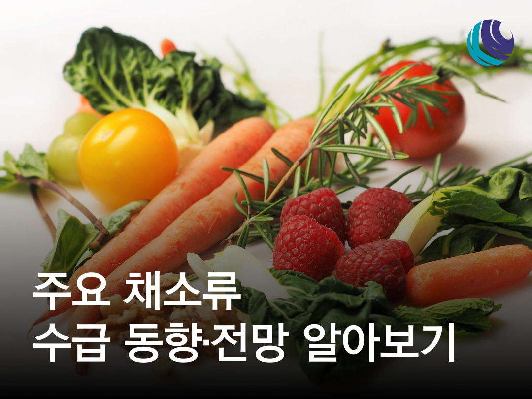 주요 채소류 수급 동향 및 전망, 채소 소매가격 알아보기 : 농사정보