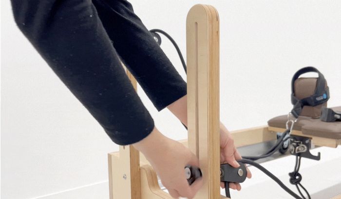 Eco Reformer