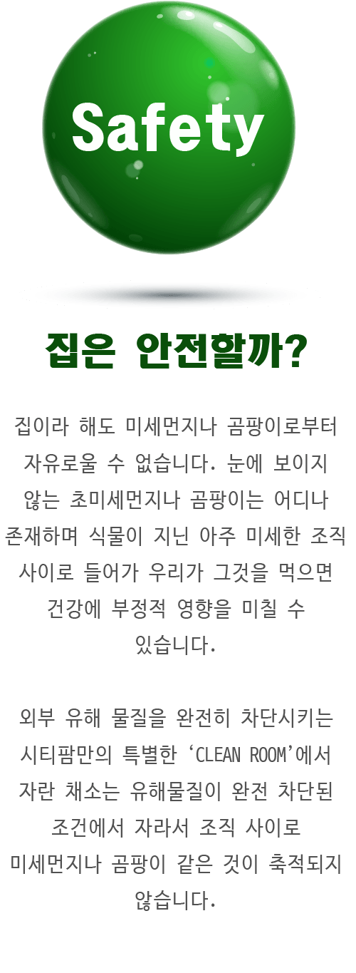 시티팜 채소는 안전한 식품이다