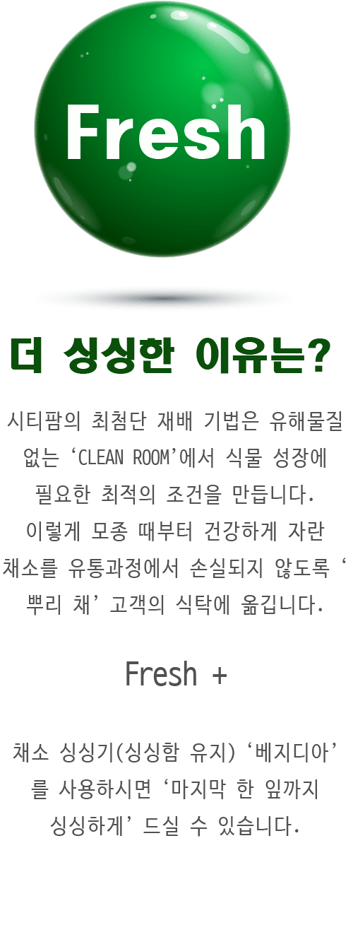 시티팜 채소는 클린룸에서 최고 기술로 재배되어 더 싱싱하다