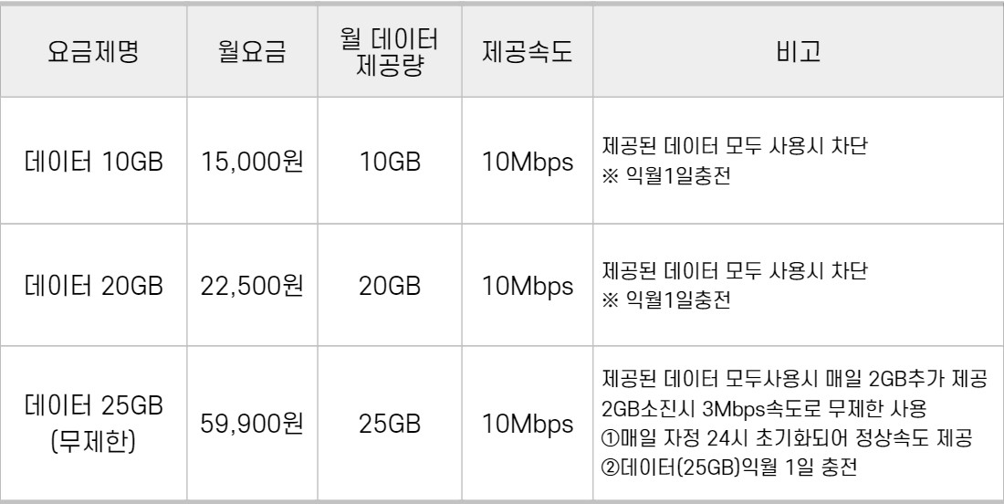 휴대형라우터