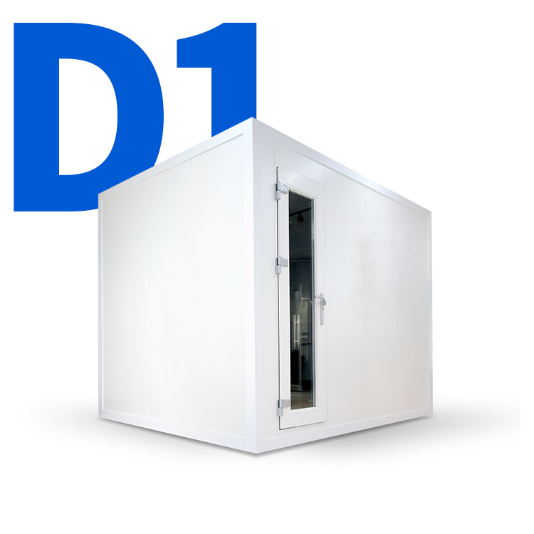 더블 D1