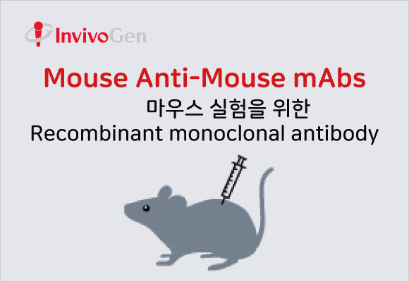 In vivo 실험을 위한 Mouse Anti-Mouse mAbs