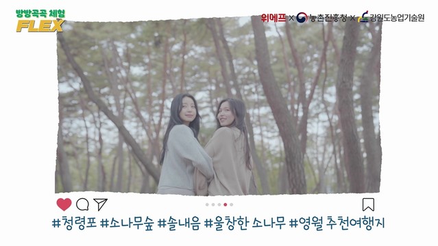 농촌진흥청 방방곡곡 체험 FLEX_영월 편