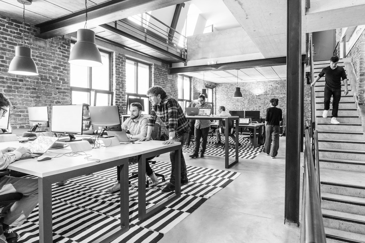 <br><h5>Startup Brand Assist</h5>