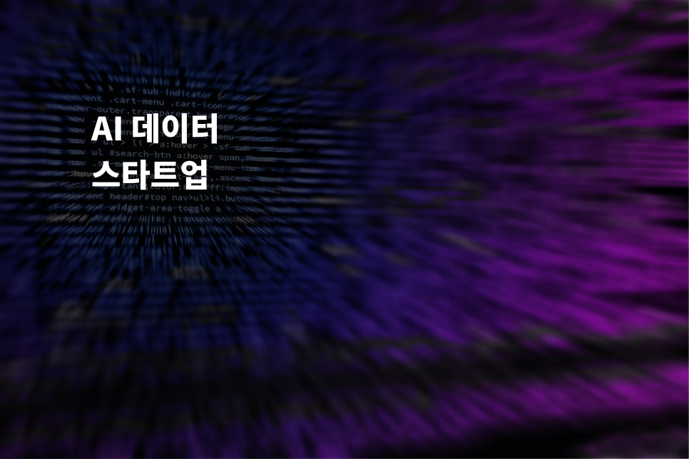 AI 데이터 스타트업