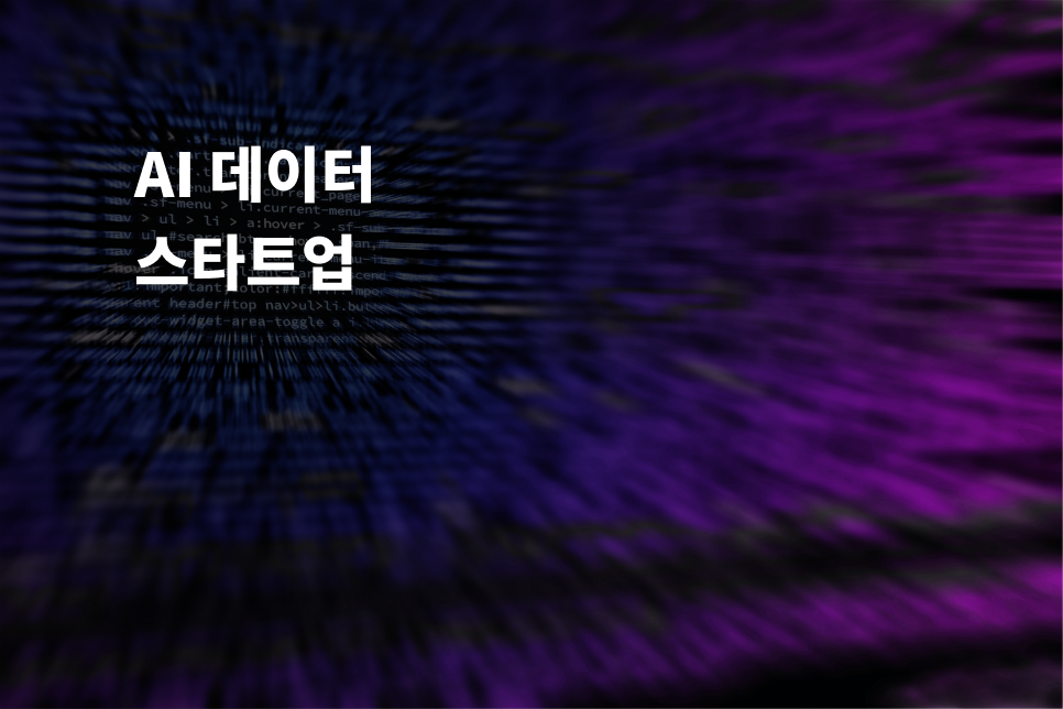 AI 데이터 스타트업