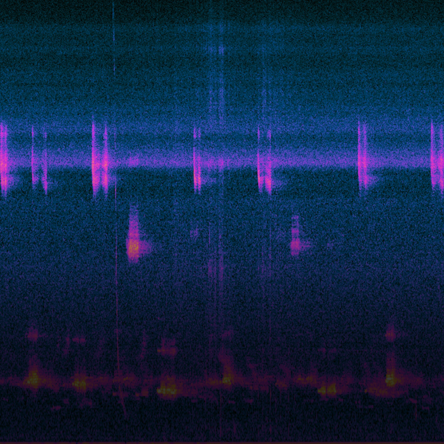 <b>Acoustic data collection & analysis</b><br><p class="img_text_mo">• 능/수동 음향자료 수집 및 분석<br>• 실험실/실해역 음향실험 설계</p>