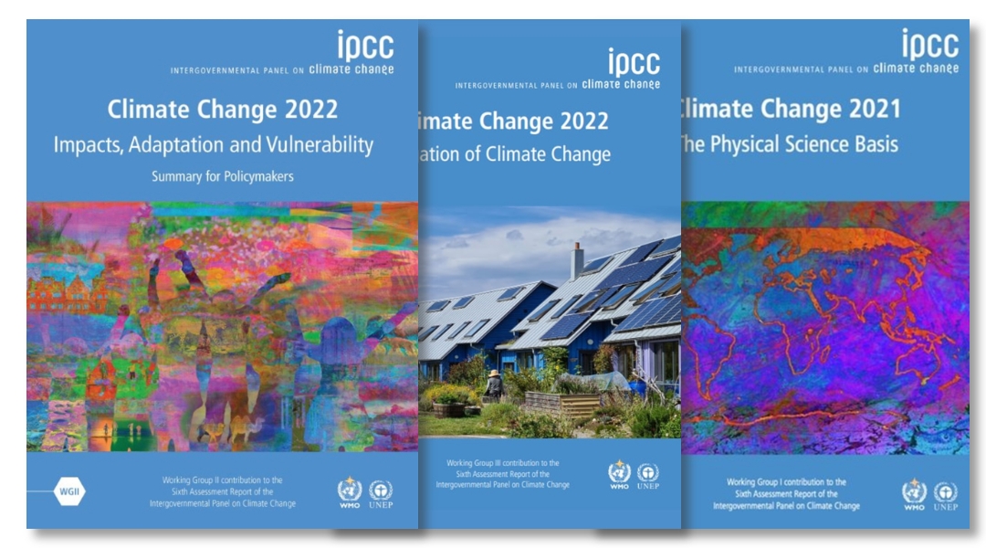 기후위기 시대의 경고: IPCC 제6차 평가 종합보고서를 중심으로 : 기후변화 다양한 이야기
